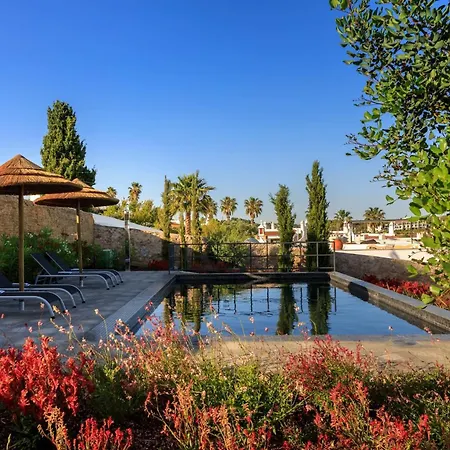 וילה Magnolia Special *